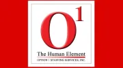 Option 1 Staffing